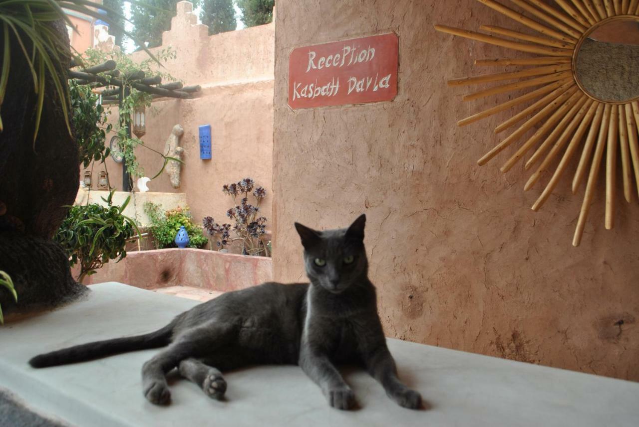 Auberge Kasbah Darla Tahanaout Buitenkant foto