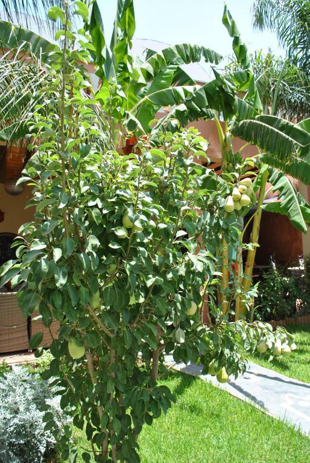 Auberge Kasbah Darla Tahanaout Buitenkant foto